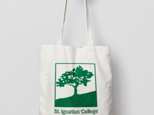 Bolsas Ecológicas de Tela